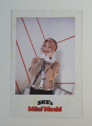 STRAY KIDS - SKZ's 2023 Mini World POLAROID PHOTOCARD (I.N)