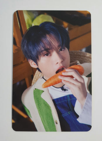 STRAY KIDS - SEASON'S GREETINGS 2023 PHOTOCARD (LEE KNOW)