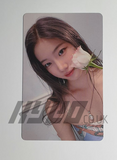 LE SSERAFIM - FEARLESS OFFICIAL WEVERSE PHOTOCARD